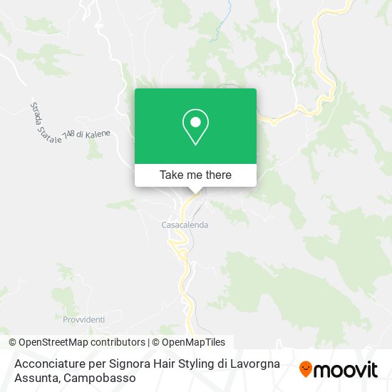 Acconciature per Signora Hair Styling di Lavorgna Assunta map