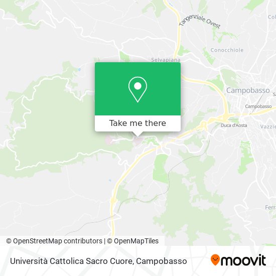 Università Cattolica Sacro Cuore map