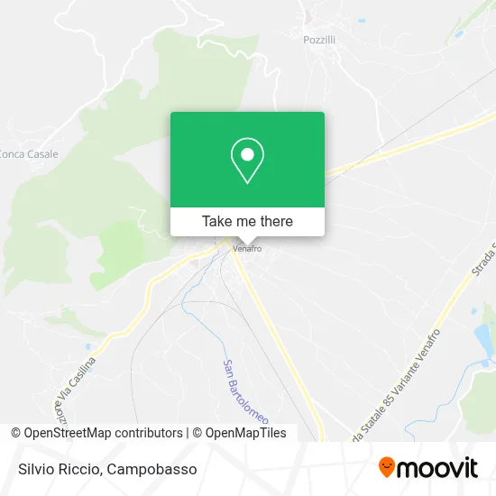 Silvio Riccio map