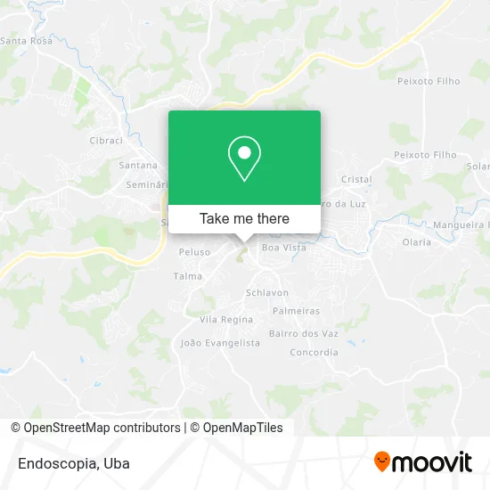 Endoscopia map