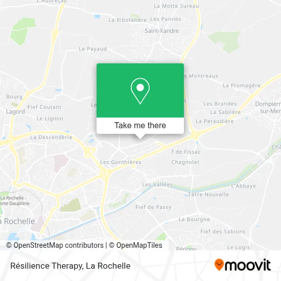 Résilience Therapy map