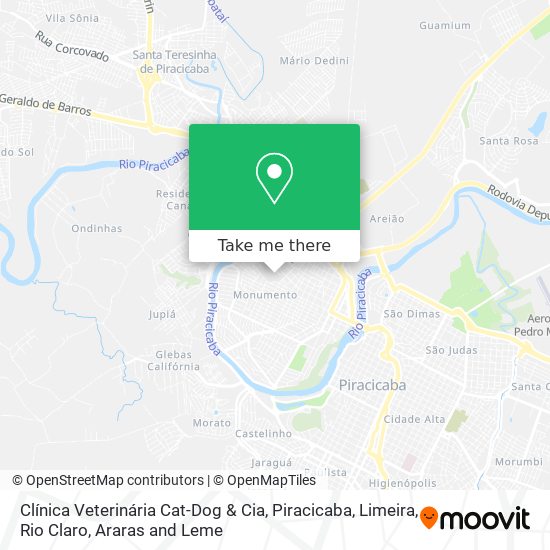 Clínica Veterinária Cat-Dog & Cia map