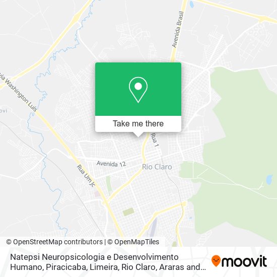 Natepsi Neuropsicologia e Desenvolvimento Humano map