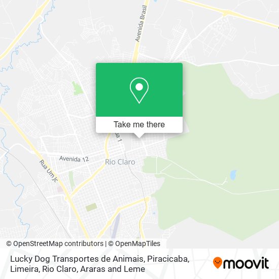 Mapa Lucky Dog Transportes de Animais