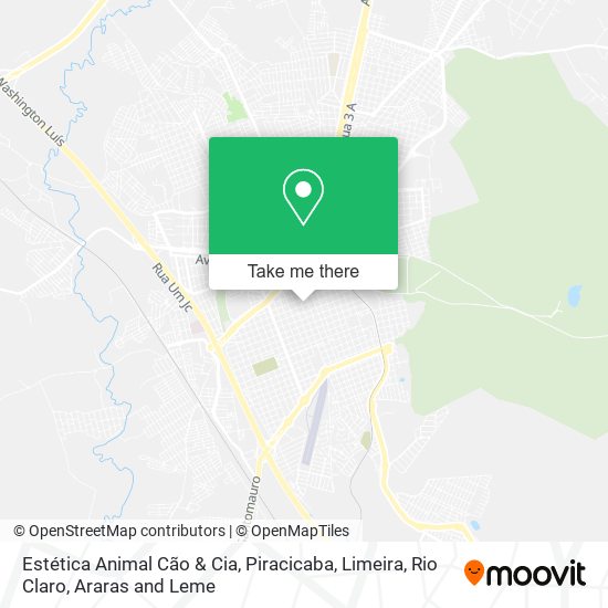 Estética Animal Cão & Cia map