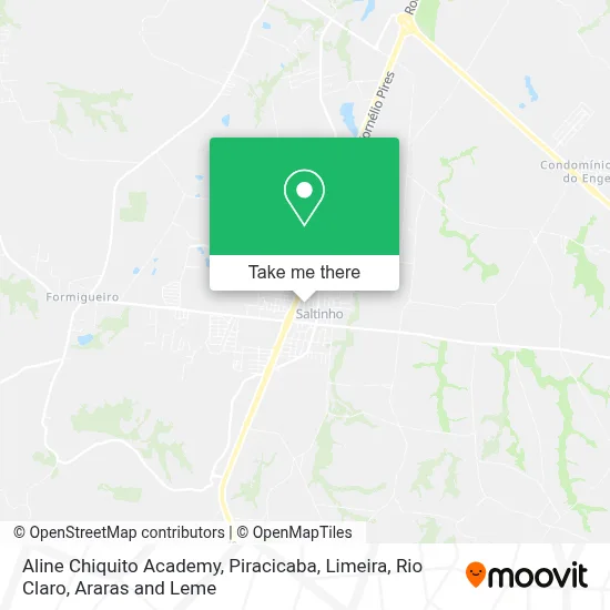 Aline Chiquito Academy map