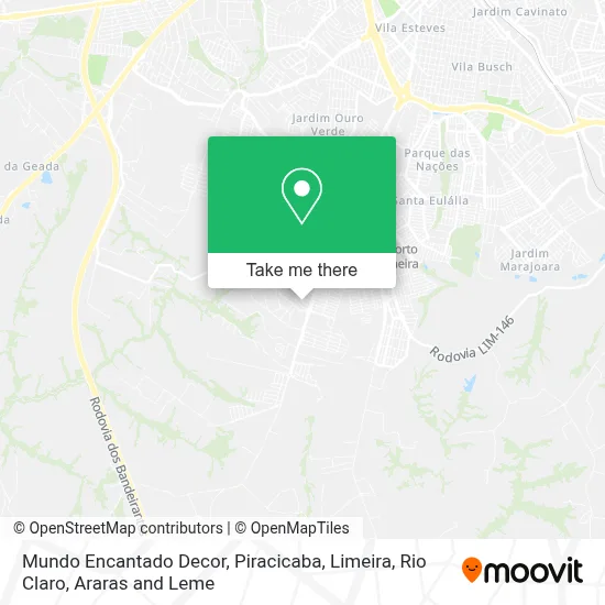 Mundo Encantado Decor map