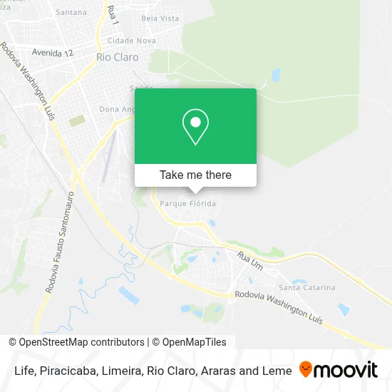 Life map