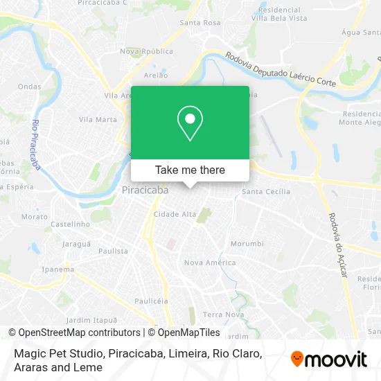 Magic Pet Studio map