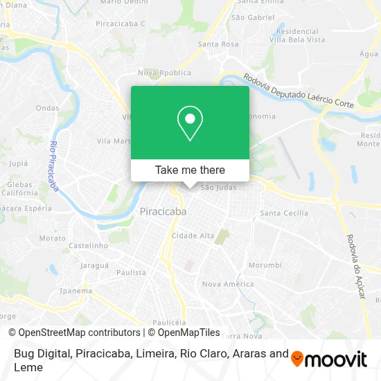 Bug Digital map