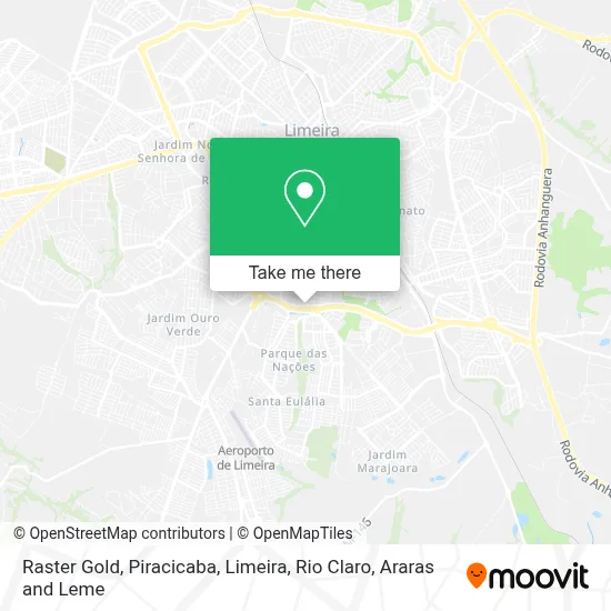 Raster Gold map