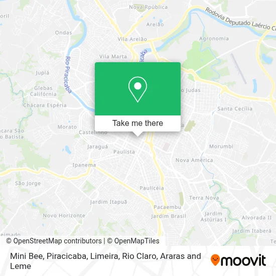 Mini Bee map