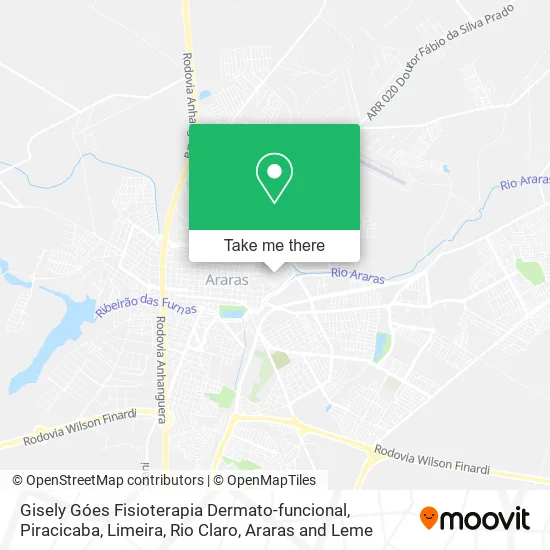 Gisely Góes Fisioterapia Dermato-funcional map