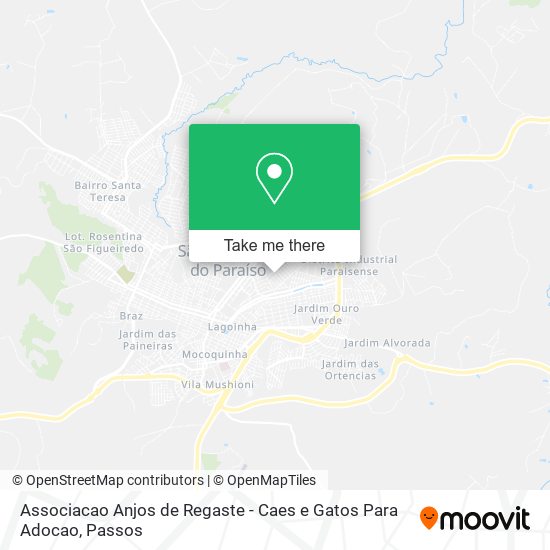 Associacao Anjos de Regaste - Caes e Gatos Para Adocao map