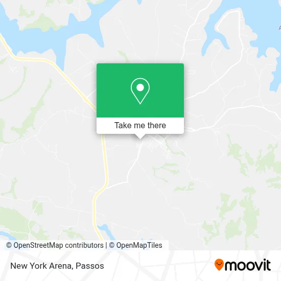 New York Arena map