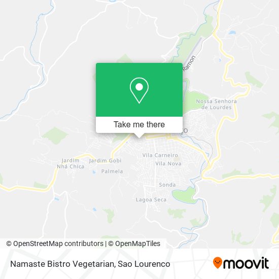 Namaste Bistro Vegetarian map
