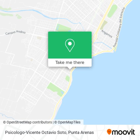 Psicologo-Vicente Octavio Soto map