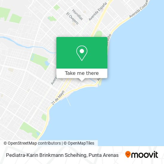 Pediatra-Karin Brinkmann Scheihing map