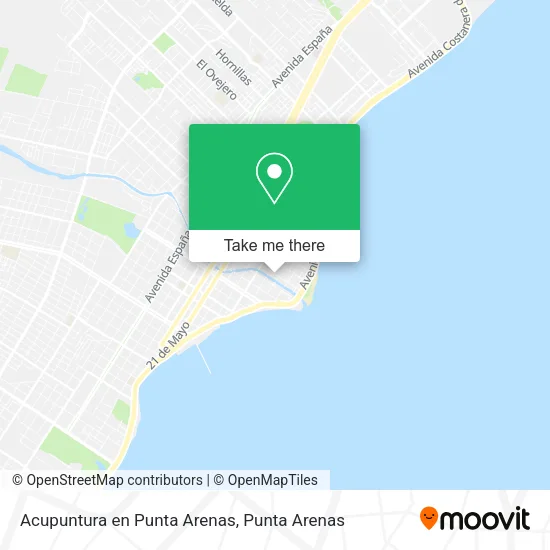 Acupuntura en Punta Arenas map