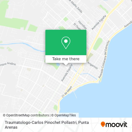 Mapa de Traumatologo-Carlos Pinochet Pollastri