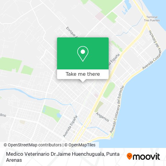 Medico Veterinario Dr.Jaime Huenchuguala map