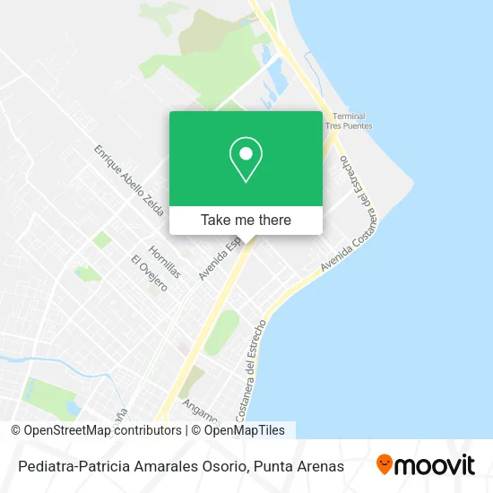 Mapa de Pediatra-Patricia Amarales Osorio