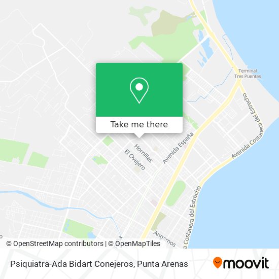 Psiquiatra-Ada Bidart Conejeros map