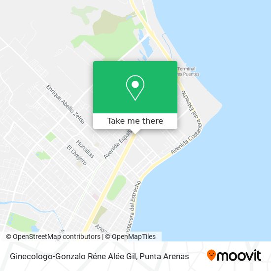 Mapa de Ginecologo-Gonzalo Réne Alée Gil