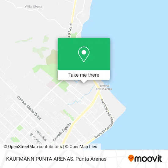 KAUFMANN PUNTA ARENAS map