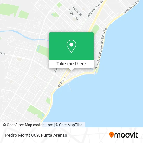 Pedro Montt 869 map
