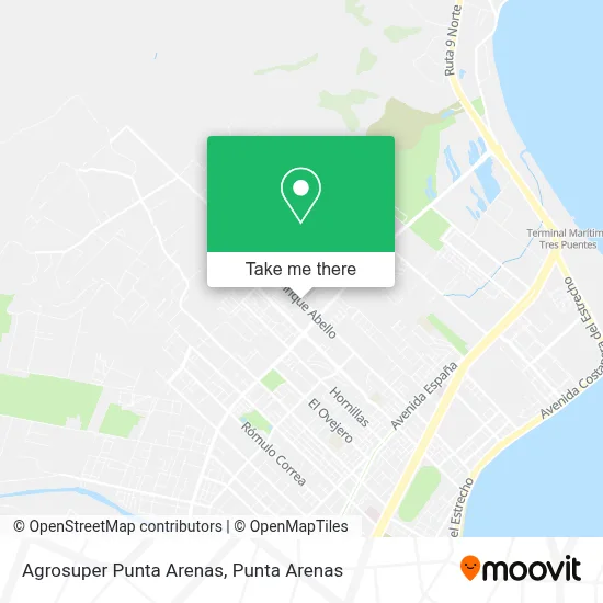 Agrosuper Punta Arenas map