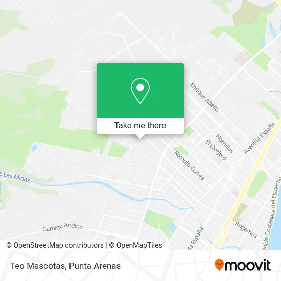 Teo Mascotas map