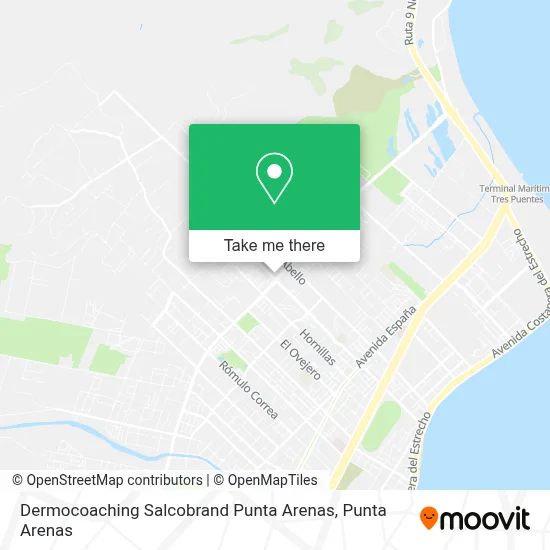 Dermocoaching Salcobrand Punta Arenas map