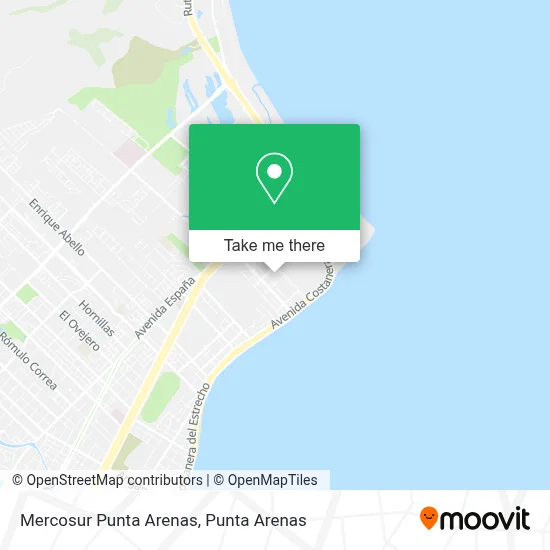 Mercosur Punta Arenas map