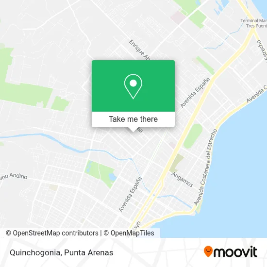 Quinchogonia map