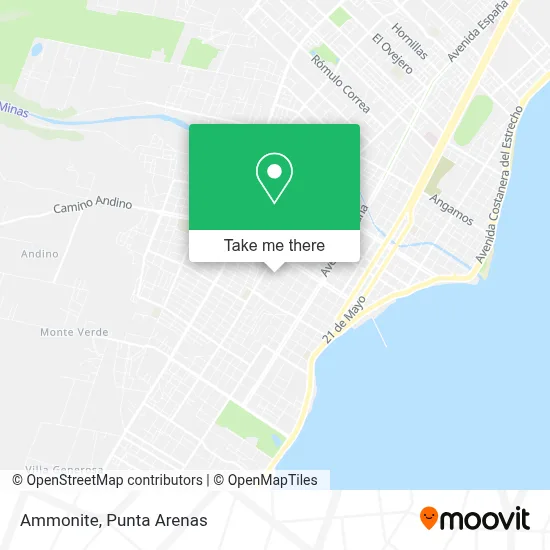 Ammonite map