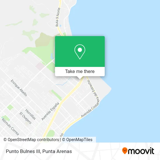 Punto Bulnes III map
