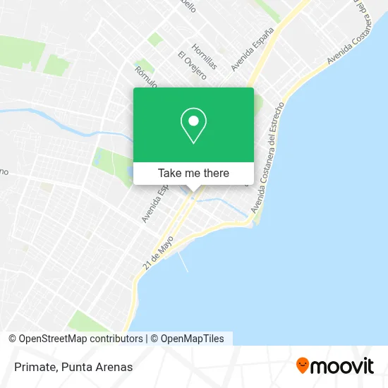 Primate map
