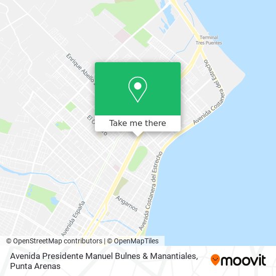 Mapa de Avenida Presidente Manuel Bulnes & Manantiales