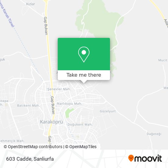 603 Cadde map