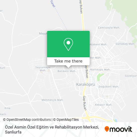 Özel Asmin Özel Eğitim ve Rehabilitasyon Merkezi map