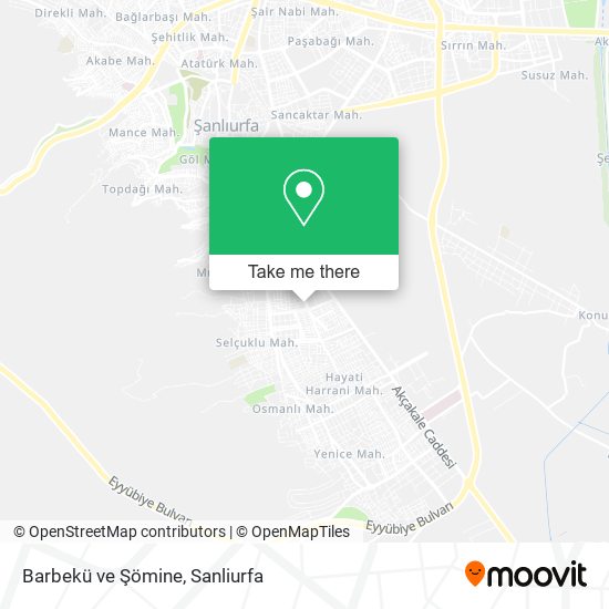 Barbekü ve Şömine map