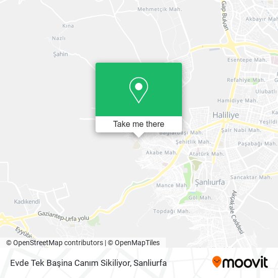 Evde Tek Başina Canım Sikiliyor map