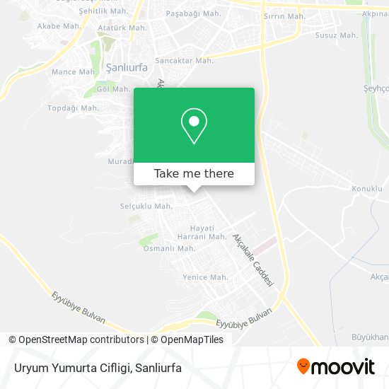 Uryum Yumurta Cifligi map