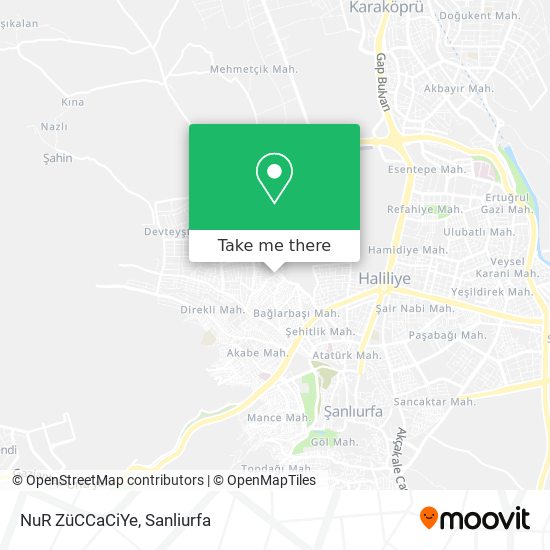 NuR ZüCCaCiYe map