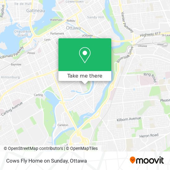 Cows Fly Home on Sunday plan