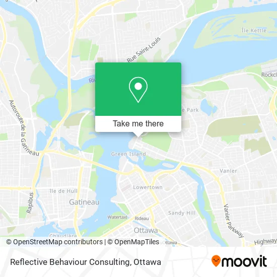 Reflective Behaviour Consulting map