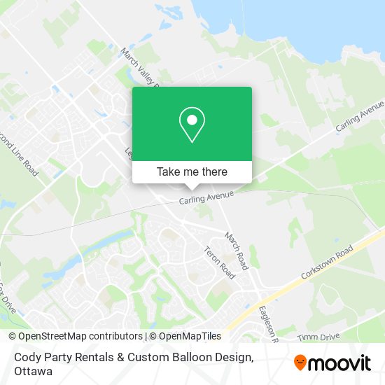 Cody Party Rentals & Custom Balloon Design plan