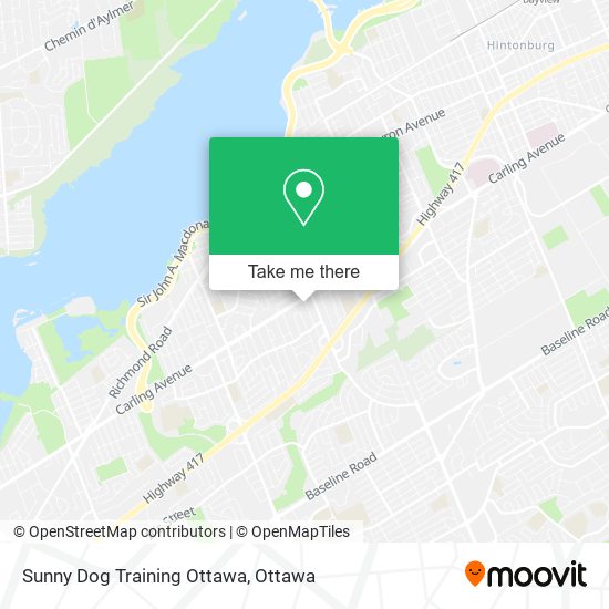 Sunny Dog Training Ottawa plan