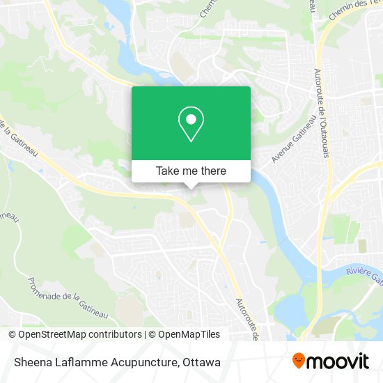 Sheena Laflamme Acupuncture map